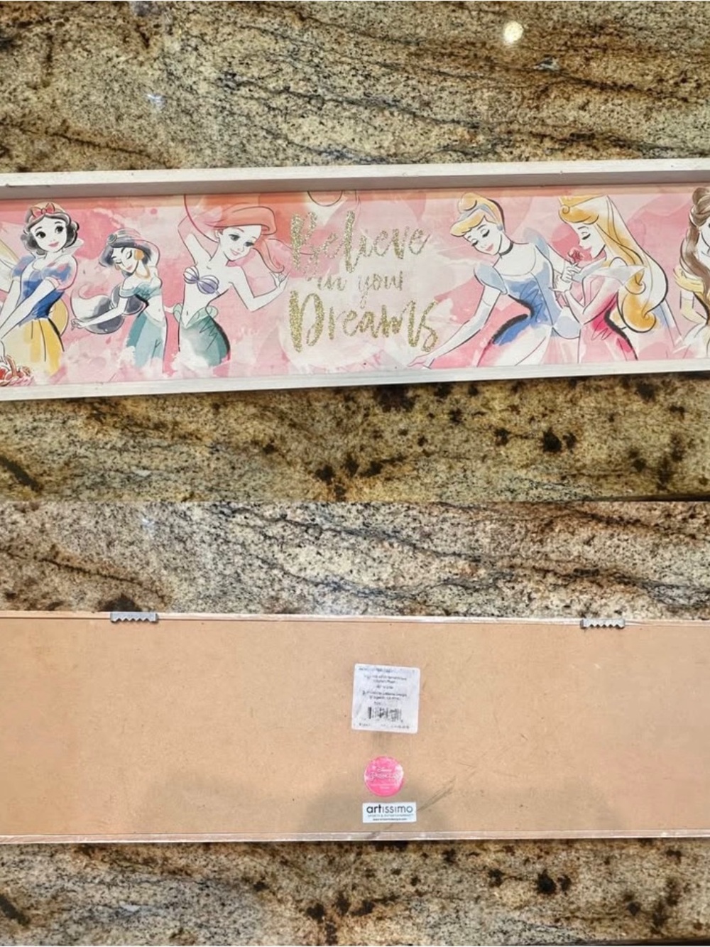 Disney Princess Believe In Your Dreams Watercolor Art Wall Decor Canvas